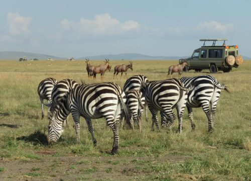 7 Days Masai Mara Safari & Watamu Beach Package