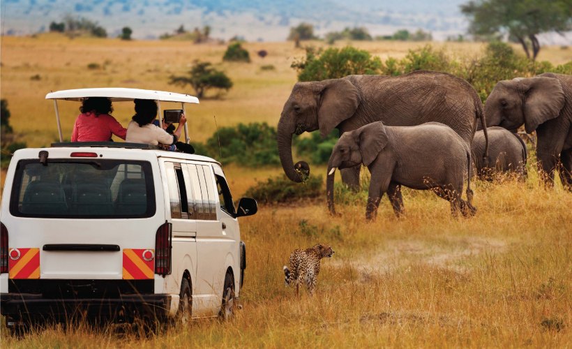 4 Days Masai Mara & Lake Nakuru Safari Adventure