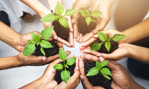 Carrolls-csr-pyramid-principles-and-examples-1